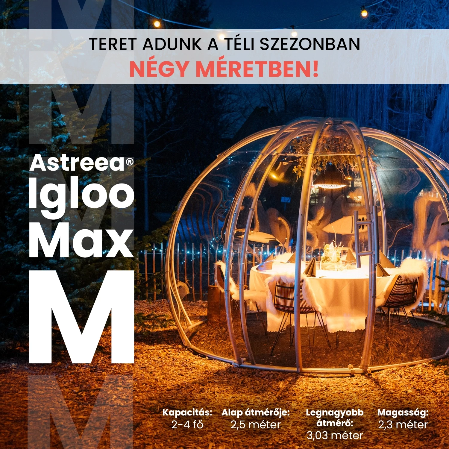 Igloo M