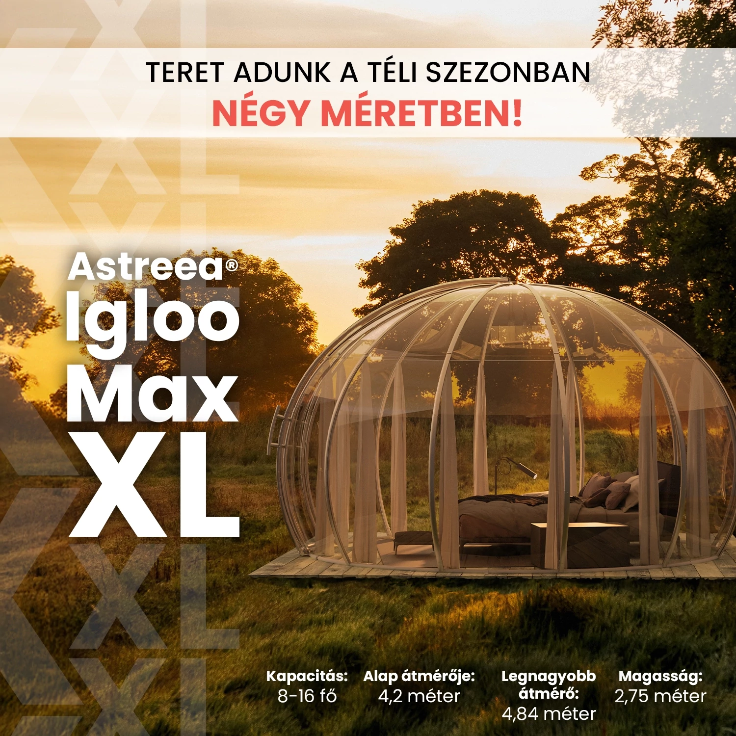 Igloo XL