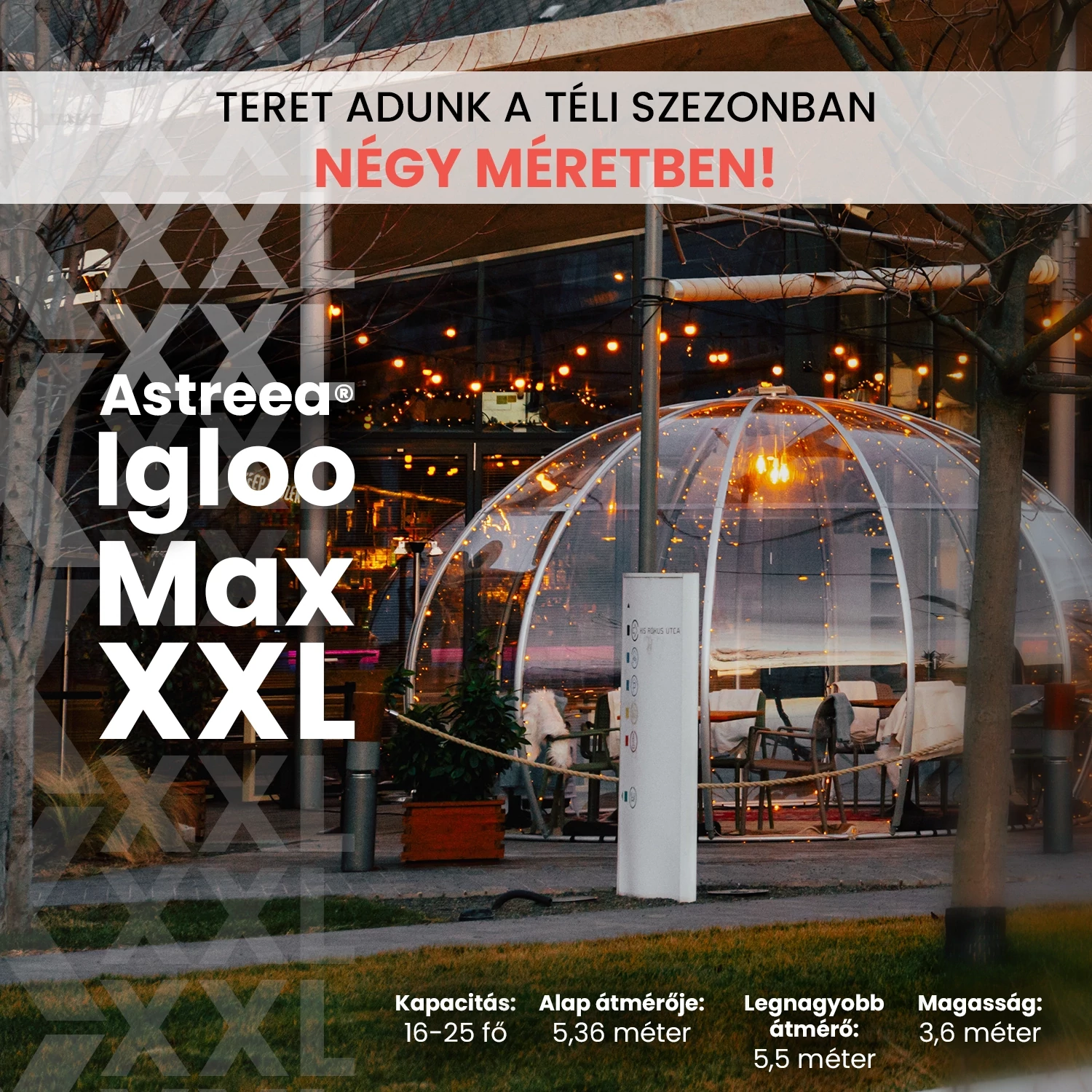 Igloo XXL