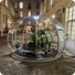Kép 3/9 - Astreea Igloo MAX 2024